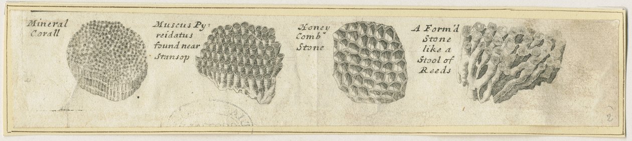 Dovedale - Coral Mineral: gravação em chapa de cobre, nd [?19 cent] (estampado) de School English