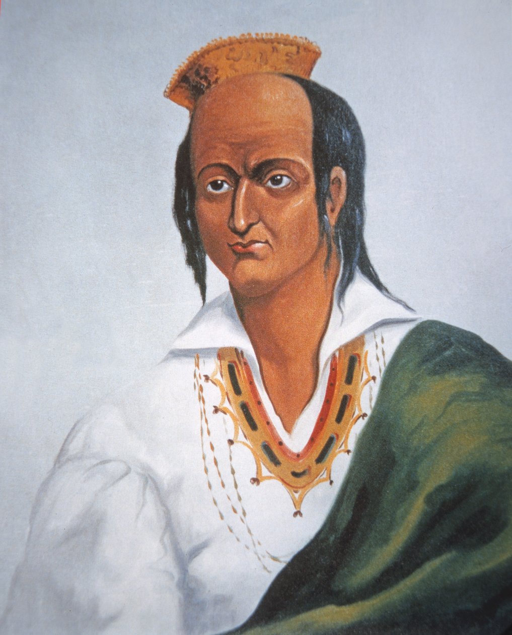 Metacomet (cor litho) de School English