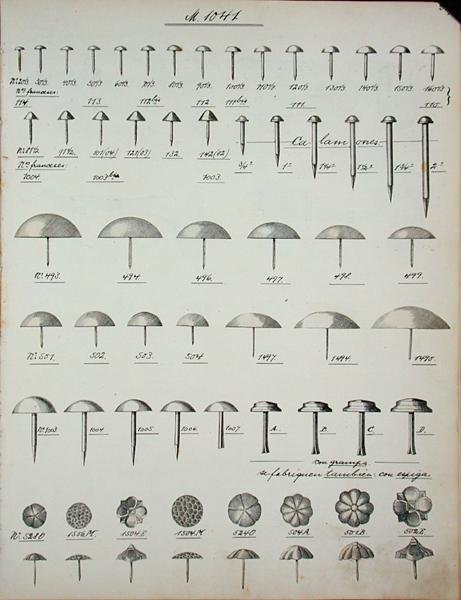 Pregos, tachas e alfinetes, de um catálogo comercial de produtos e acessórios domésticos, c.1890-1910 (litho) de School English