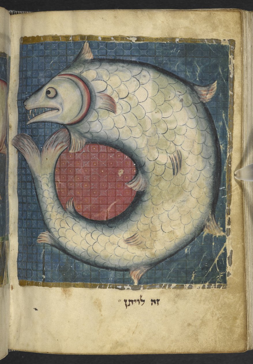 Acrescentar MS 11639 f.518v O Leviatã, de uma Miscelânea de textos bíblicos e outros ("The Northern French Miscellany" ou anteriormente "The British Museum Miscellany") de School French