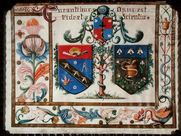 Brasões dos cirurgiões de barbeiro e dos farmacêuticos (vellum) de School French