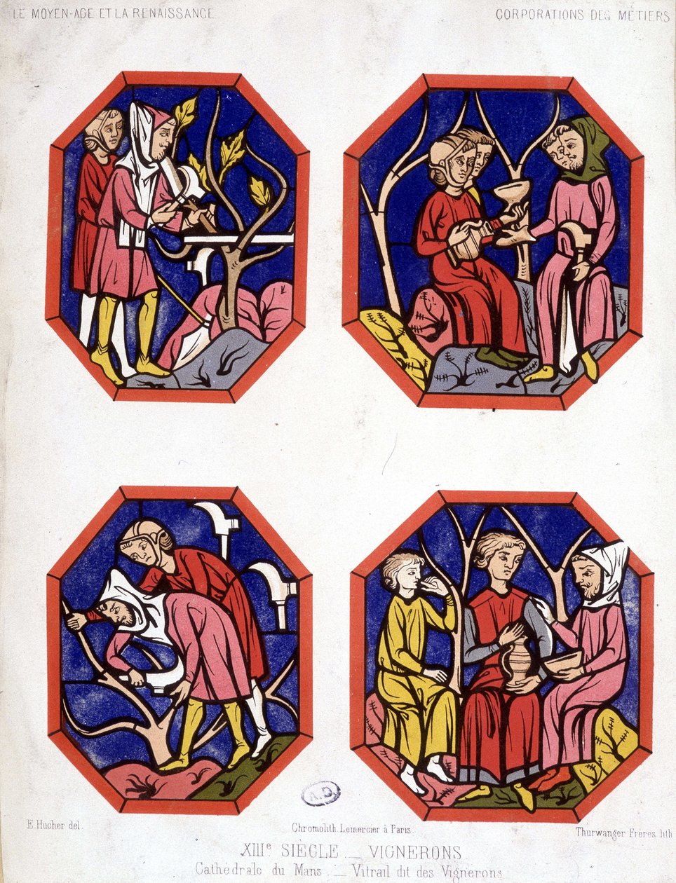 Corporation des vignerons - vitrais dos vinicultores da Cathedrale du Mans de School French