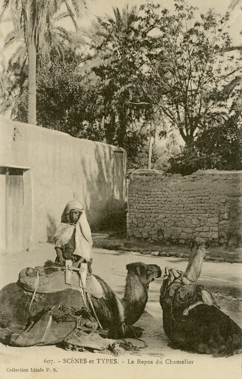 Le Repos du Chamelier, c.1890-1914 (foto a p/b) de School French