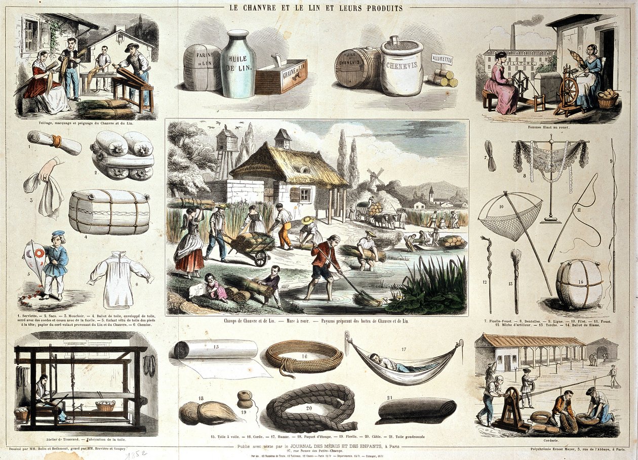 cânhamo, linho e seus produtos de School French