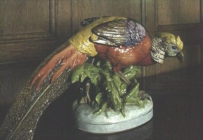 Meissen Pheasant (porcelana) de School German