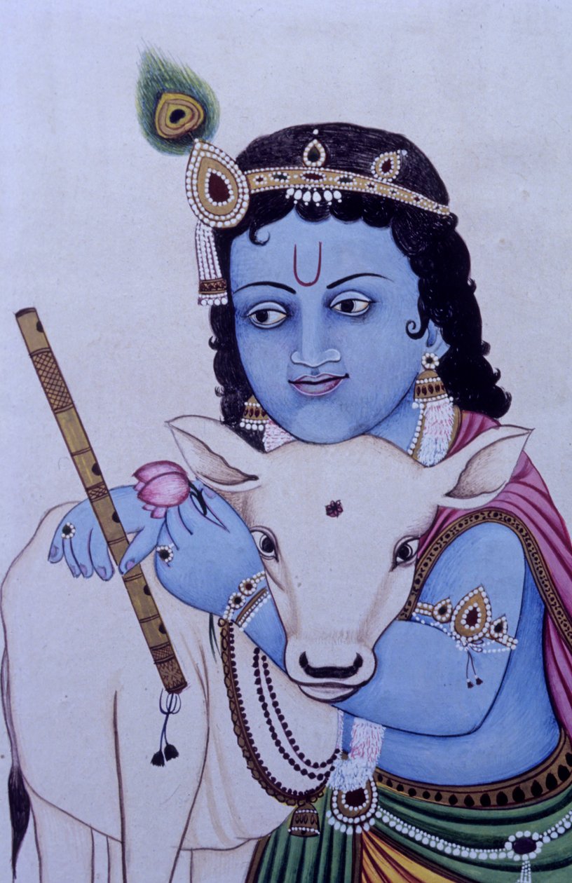 Senhor Bal Krishna com vaca em miniatura Pintura sobre papel de School Indian