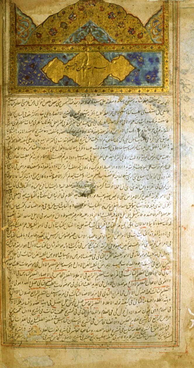 Página de O cânone da medicina (al-Qānūn fī aṭ-Ṭibb) de Avicena de School Iranian