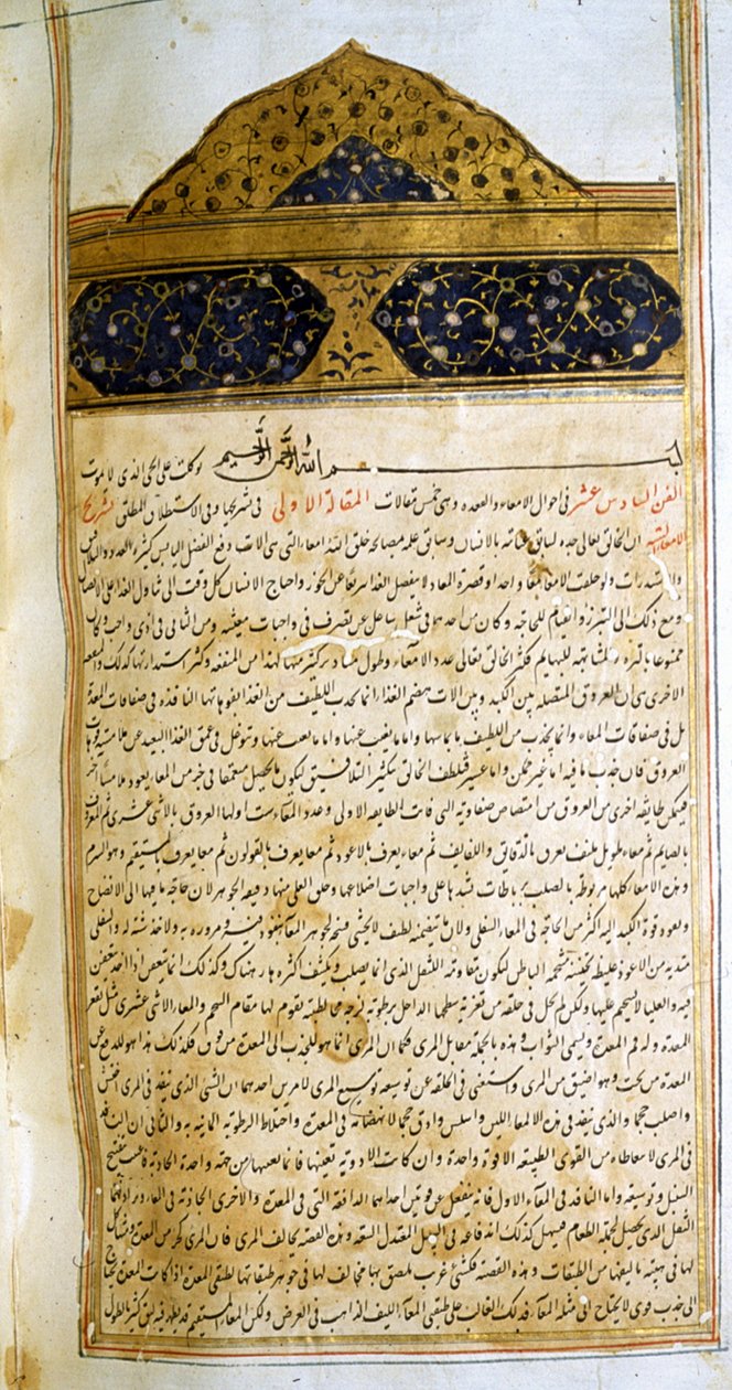 Página de O cânone da medicina (al-Qānūn fī aṭ-Ṭibb) de Avicena de School Iranian