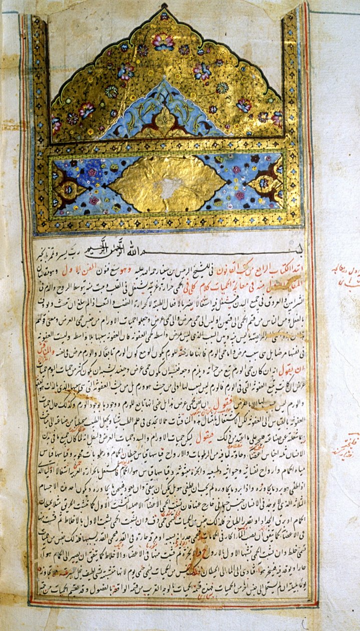 Página de O cânone da medicina (al-Qānūn fī aṭ-Ṭibb) de Avicena de School Iranian