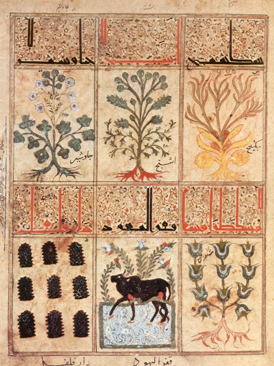 Ilustração do Livro de antídotos 