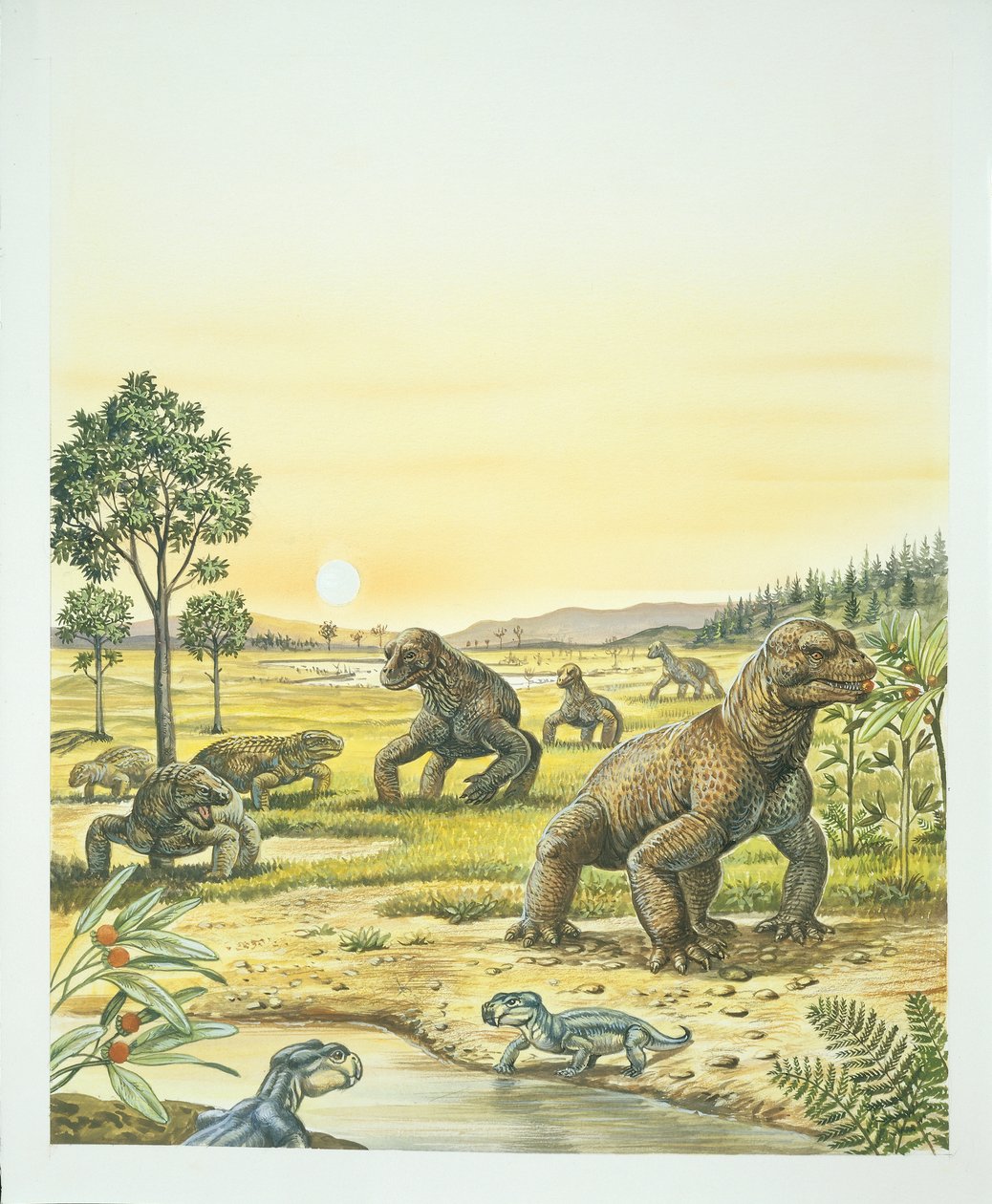 Anomodontes, primeiro plano, Pareisaurs, esquerda, e Dinocefalia, direita, Paleozóico, período Permiano (cor litho) de School Italian