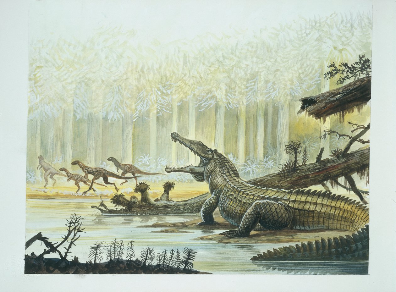 Rutiodon com Fabrosaurus ao fundo, período Triássico (cor litho) de School Italian