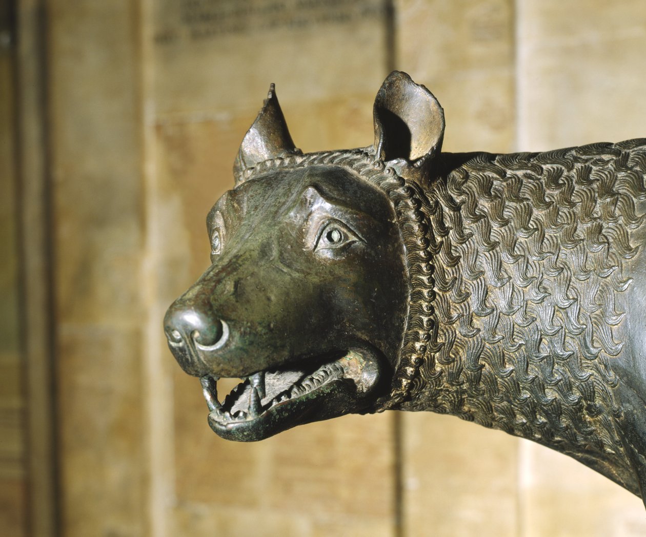 O Lobo Capitólio (bronze) de School Italian