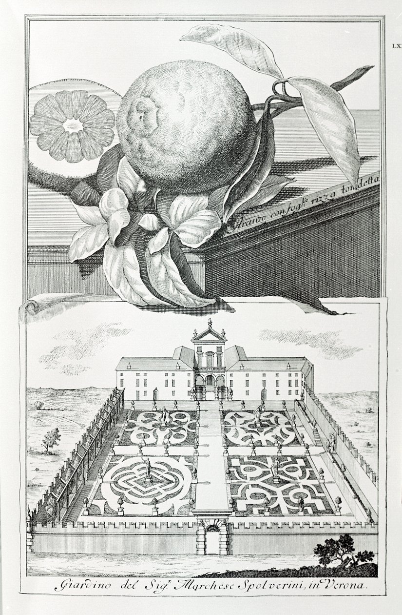 Vila do Marquês Spolverini de Verona, de "Villas, Jardins e Paisagens em Veneza" de A. Volkamer (gravura) de School Italian
