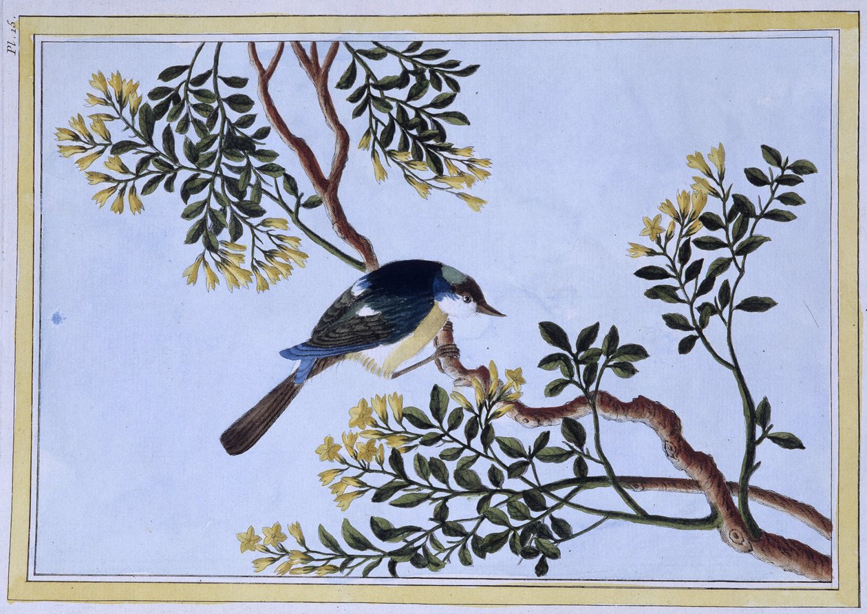Bird - Impressão japonesa de Japanese School