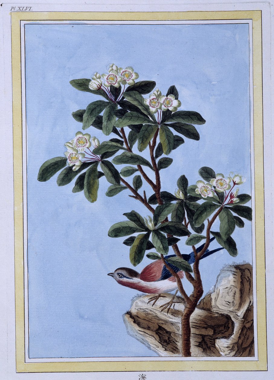 Bird - Impressão japonesa de Japanese School