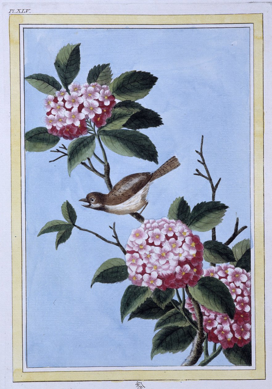 Bird - Impressão japonesa de Japanese School
