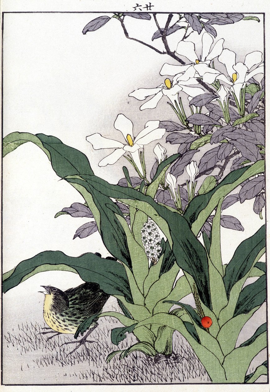 Pássaro nas flores - estampa japonesa de Japanese School