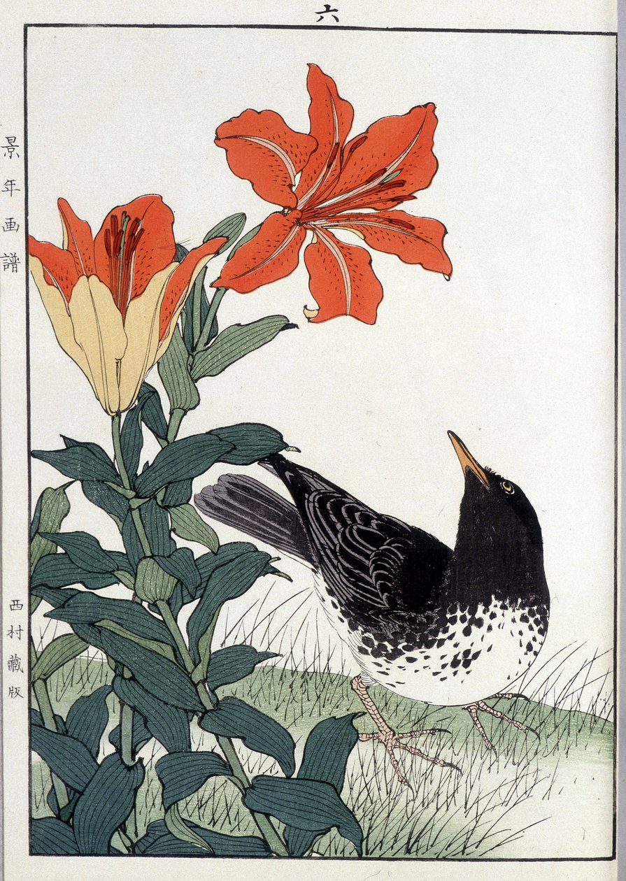 Blackbird e flores de lírio - estampa japonesa de Japanese School