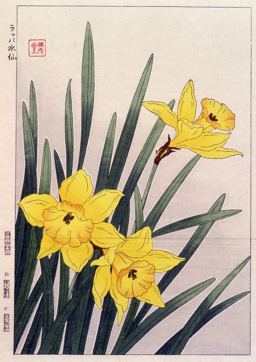 Fechar narcisos - estampa japonesa de Japanese School