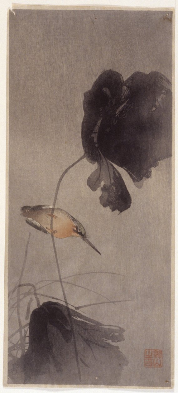Kingfisher de School Japanese