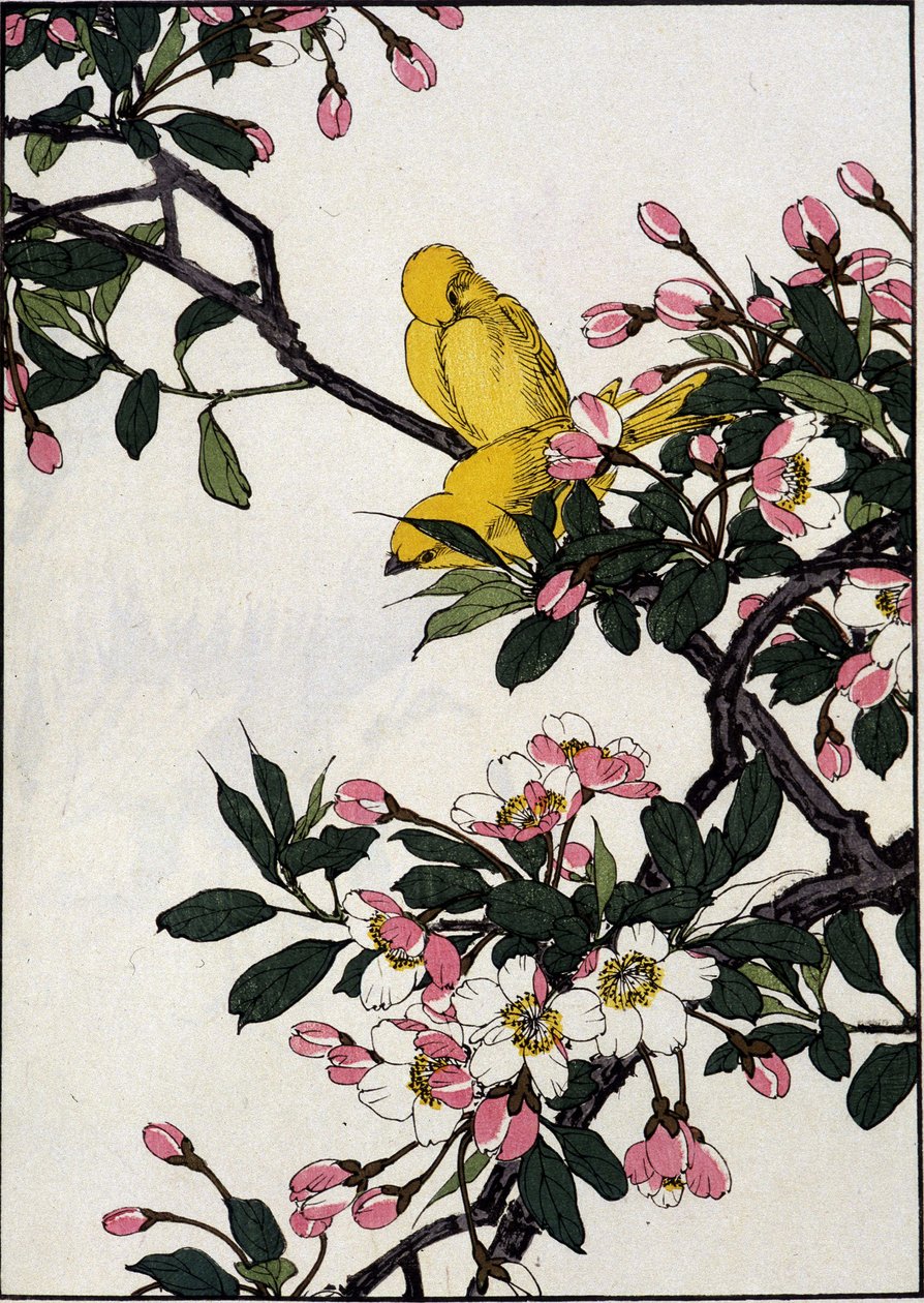 Serins em um ramo de cerejeira florido - impressão japonesa de Japanese School