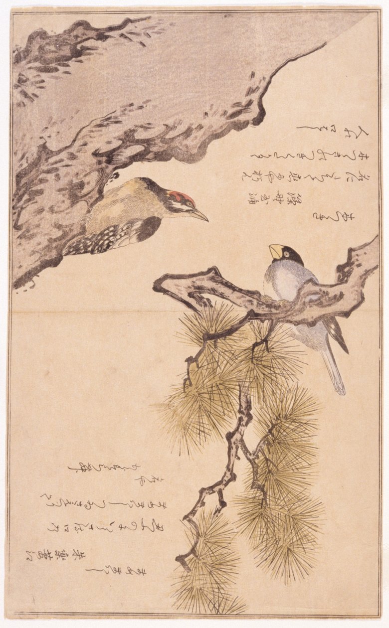 Dois pássaros numa árvore de School Japanese