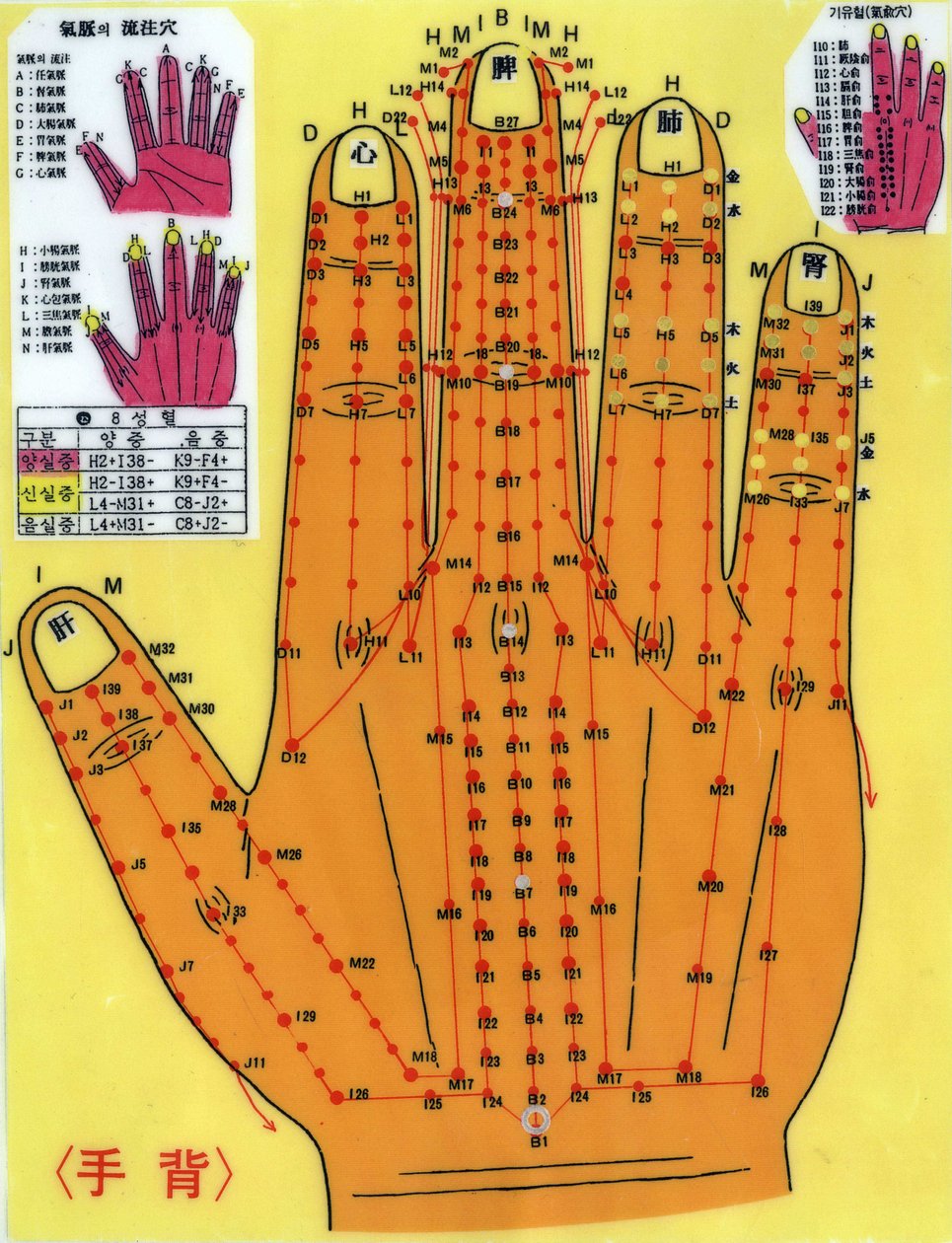 Tábua de acupunctura de coreeno. de School Korean