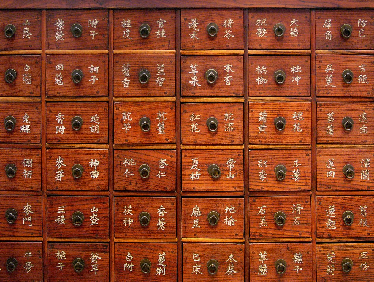 Detalhe de um móvel médico de madeira, período Joseon, Coree, Coleção Kim Chong-hak. Fotografia, Museu Nacional de Seul, República da Coreia, 2006. de School Korean