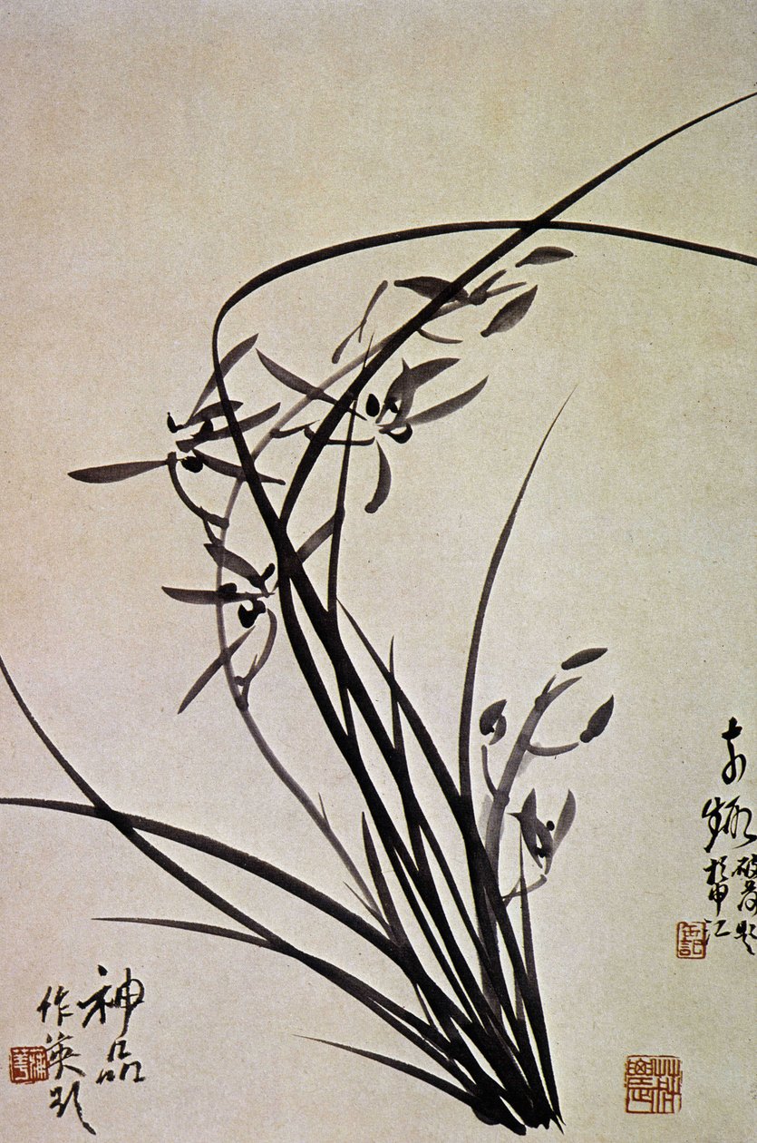 Orchidees. A impressão Coreana da dinastia YI. de School Korean