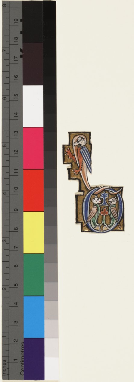 D inicial, de um saltério-horas, c.1270 (ouro e têmpera em pergaminho) de School Mosan