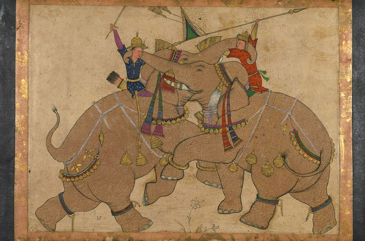 Elephant Combat (tinta, pigmentos em papel montados em papelão) de School Mughal