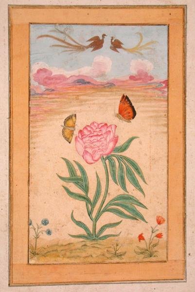 Plantas floridas com pássaros do paraíso e borboletas, do Pequeno Clive Album (guache em pergaminho) de School Mughal