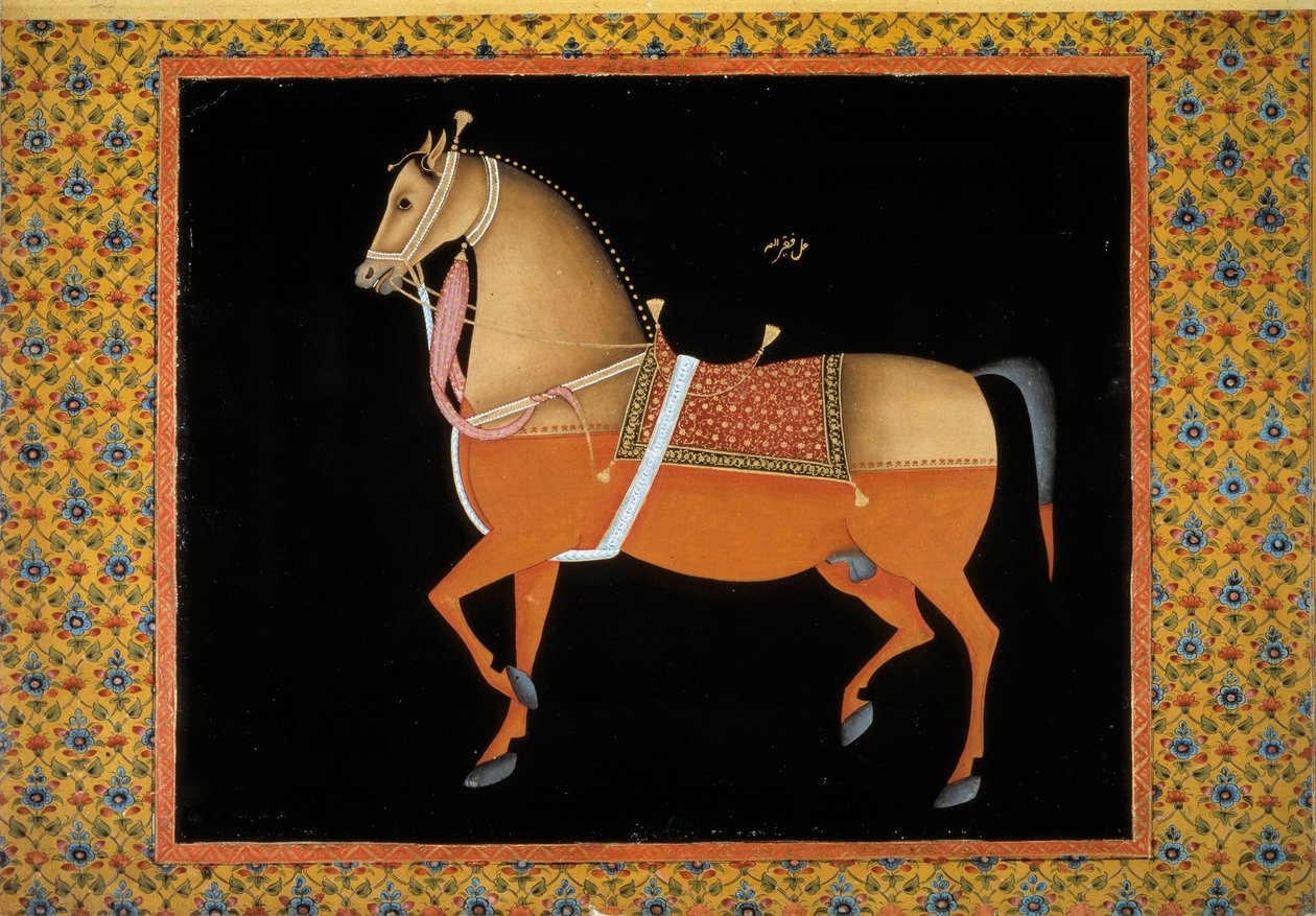 Arte Moghol: representação de um garanhão. Gouache do século XVIII. Paris, B.N. de School Mughal
