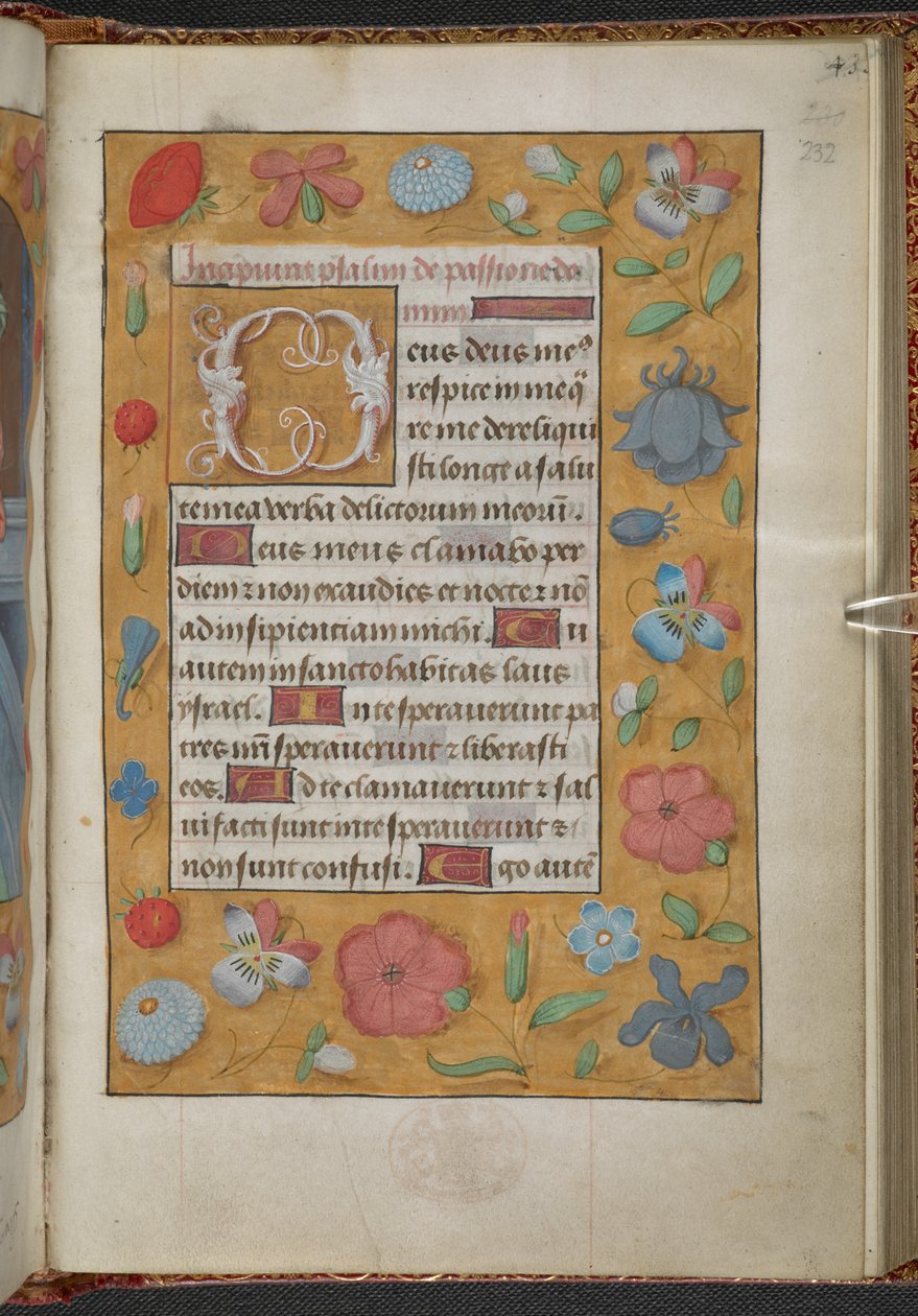 Reis 9, f.232r, Livro de Horas, Uso de Sarum ("Livro de Horas de Ana Bolena") (velino) de School Netherlandish