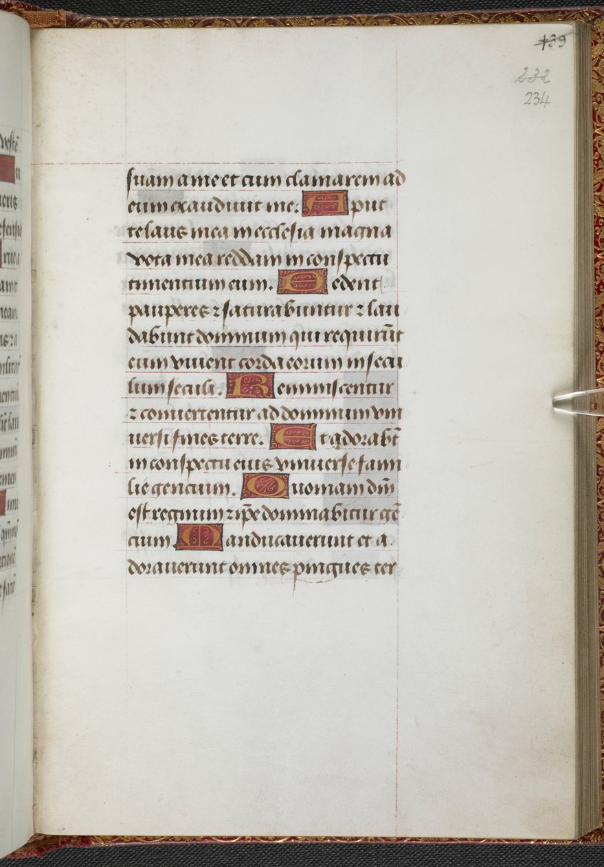 Reis 9, f.234r, Livro de Horas, Uso de Sarum ("Livro de Horas de Ana Bolena") (velino) de School Netherlandish