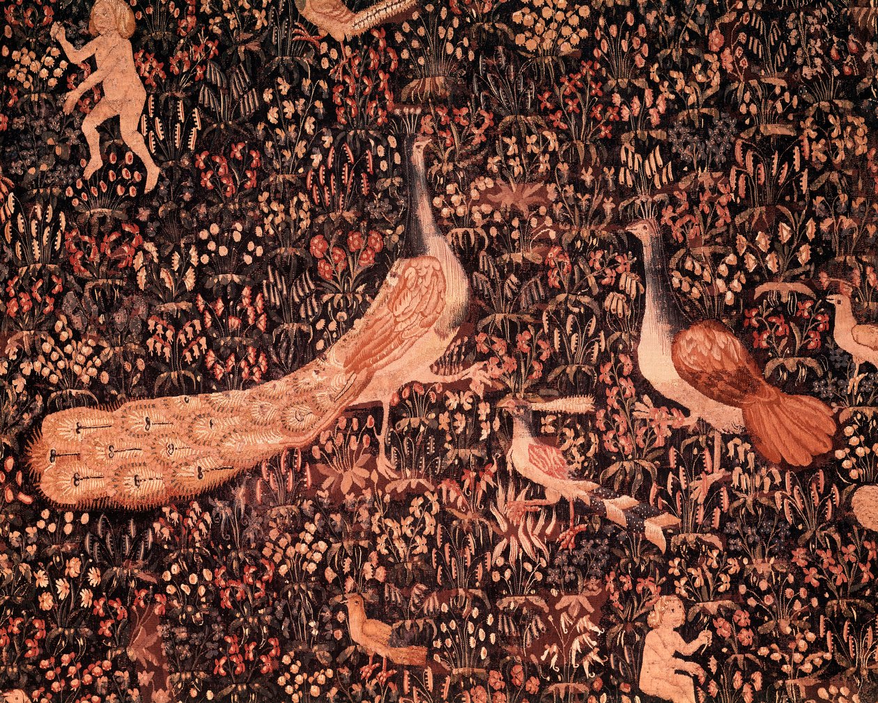 A cortina da vida Seigneuriale: detalhe representando aves, pavão. Tapeçaria de lã e seda feita por volta de 1520 na Holanda. Sol 2,6x3,7 m Paris, museu nacional da Idade Média, Thermes de Cluny de School Netherlandish