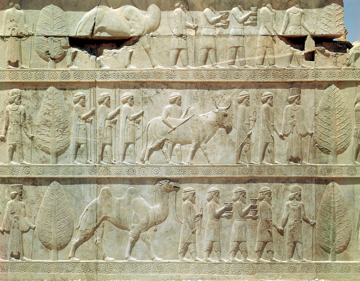 Detalhe do friso em relevo na escadaria leste da Apadana (sala de audiências) retratando os delegados das terras do império com presentes generosos para uma cerimônia, período Aquemeniano, c.515 a.C. (calcário) de School Persian