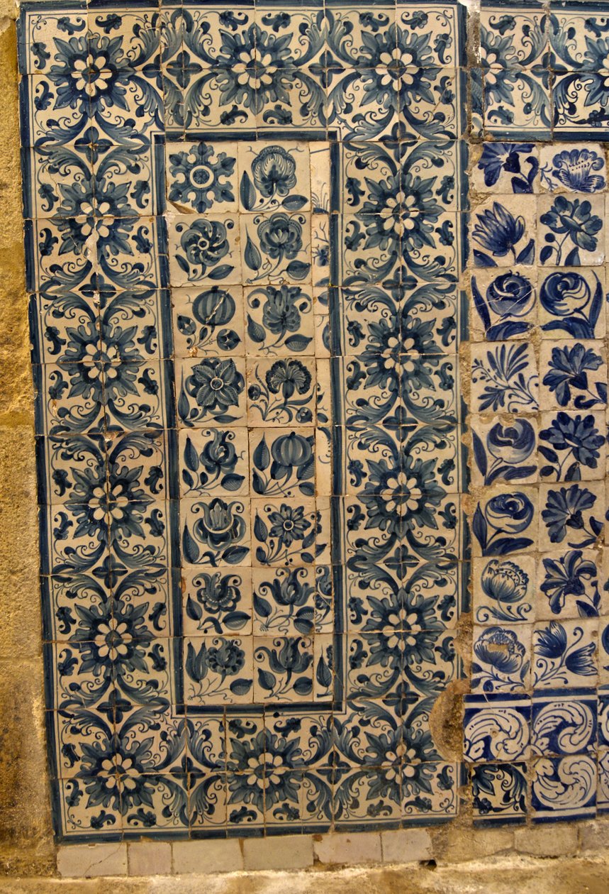 Painel representando várias espécies de flores, Tarouca, Portugal (azulejos cerâmicos) de School Portuguese