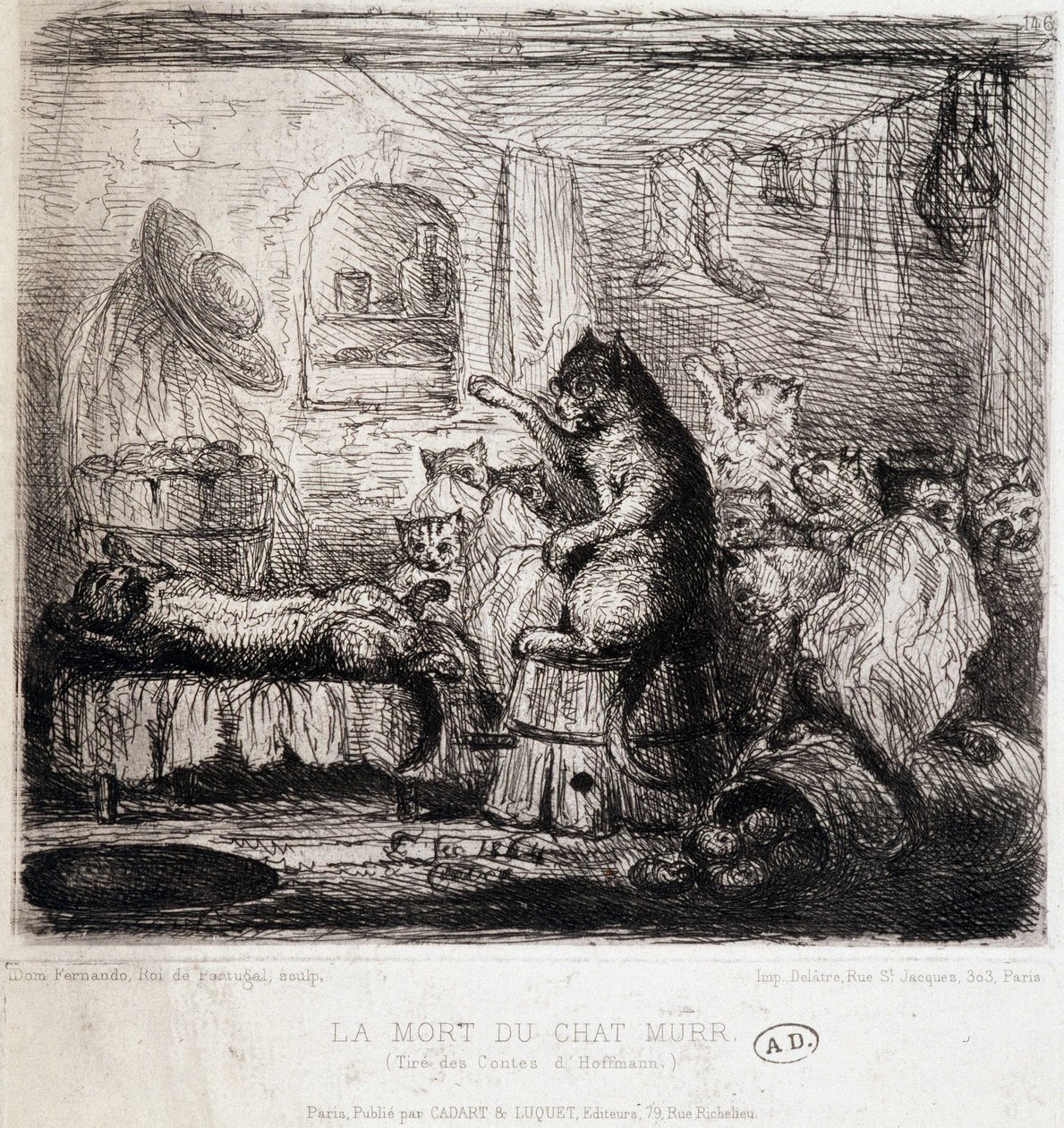 A Morte do Gato Murr (dos contos de Hoffmann) - Desenho, Portugal de School Portuguese