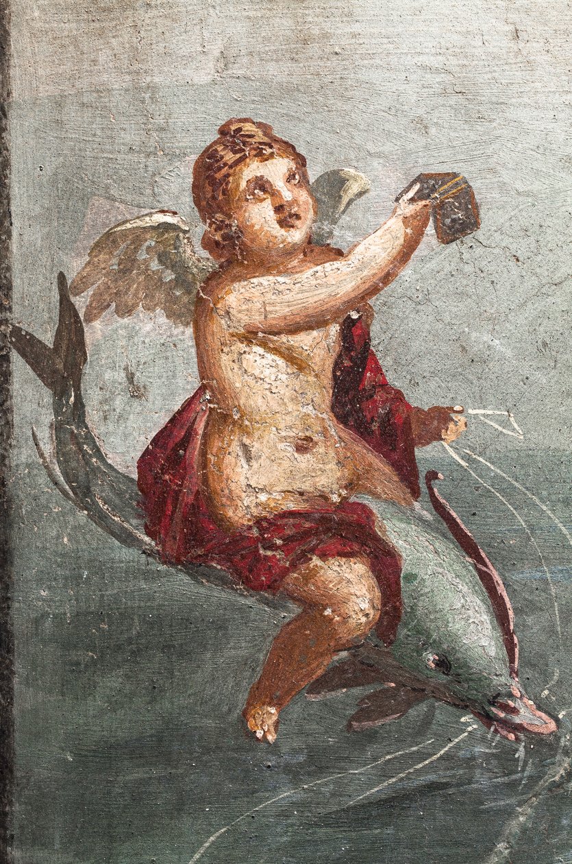 Polifemo e Galateia, Herculano de School Roman