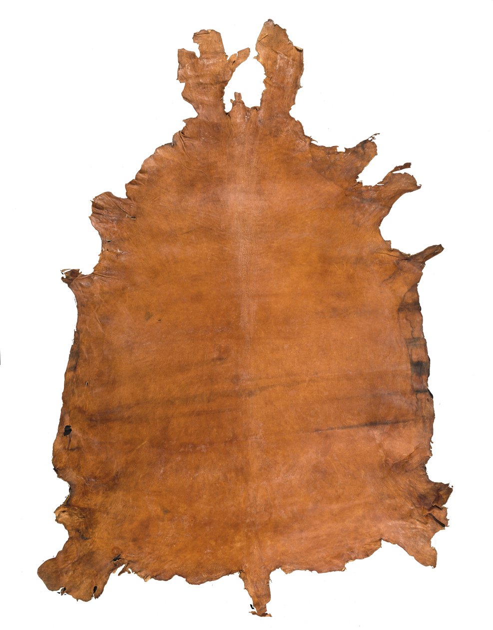 Couro de animal, c. 1786 (couro) de School Russian