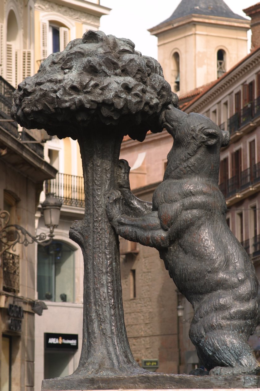 O Urso de Madrono (bronze) de School Spanish