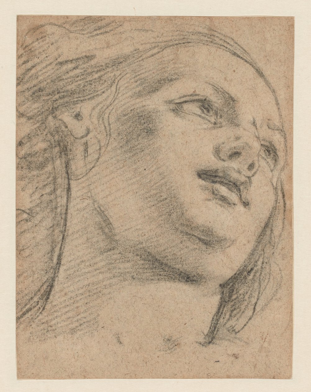 Estudo de cabeça feminina olhando para cima (reto); Estudo de duas figuras apoiando um objeto (verso) de School of Guido Reni