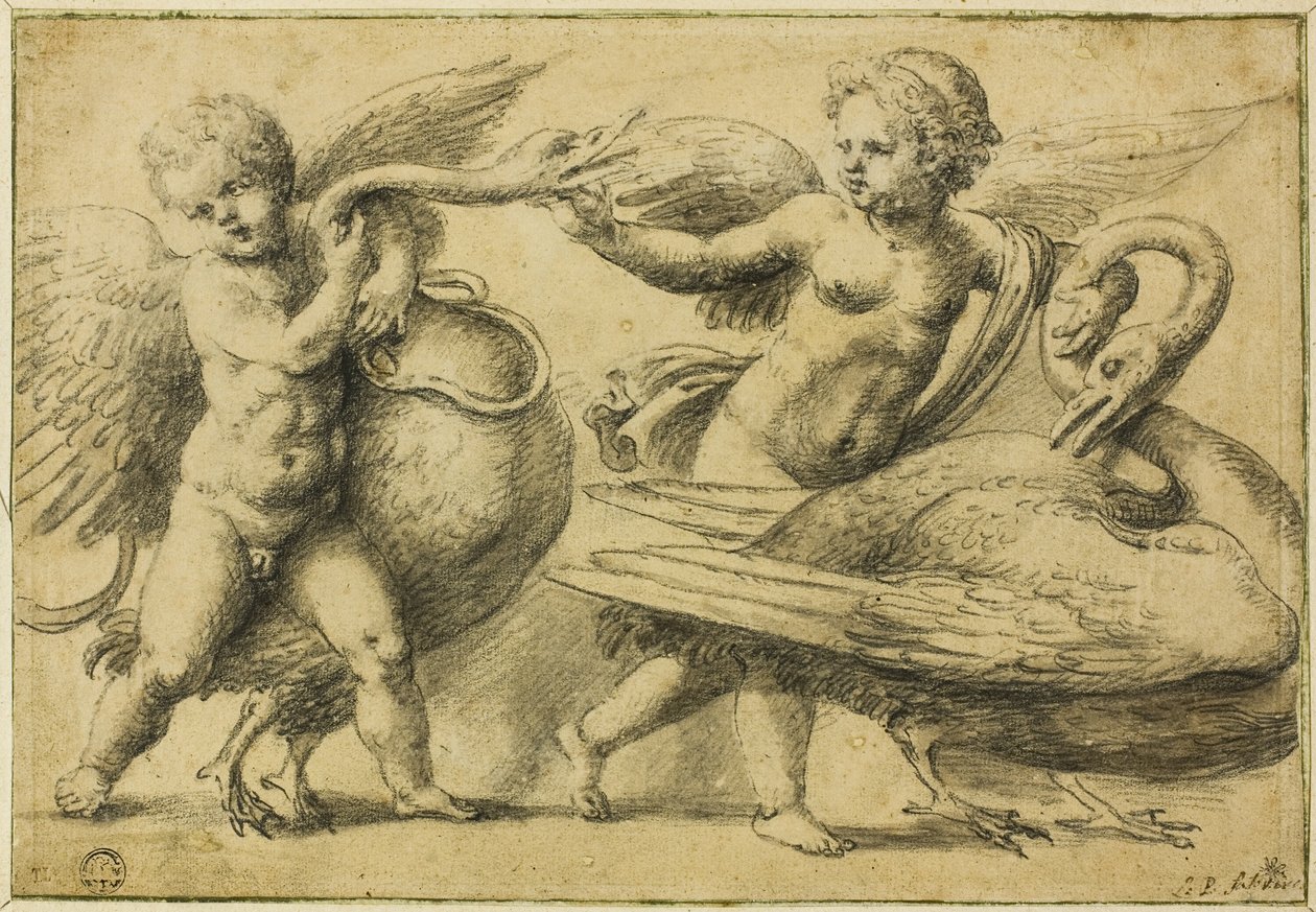 Putti brincando com cisnes de School of Raphael
