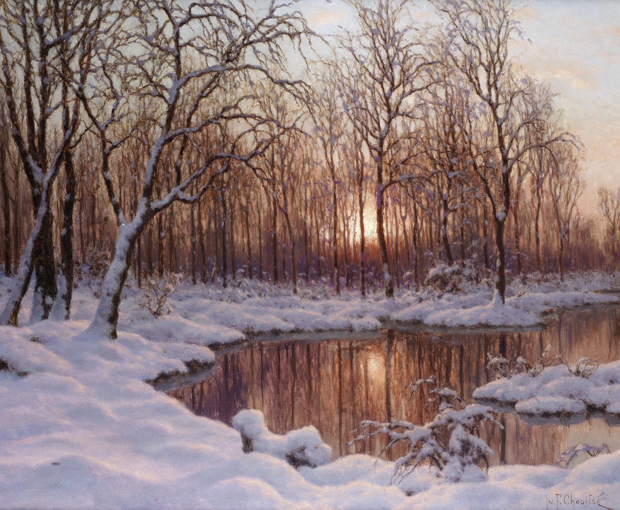 novembro de Schultze
