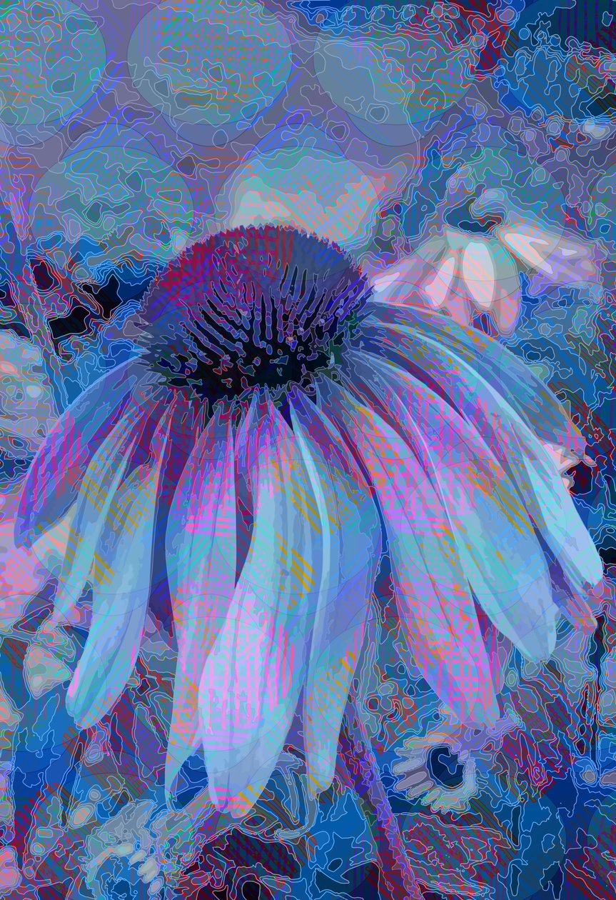 Cone De Flor de Scott J. Davis