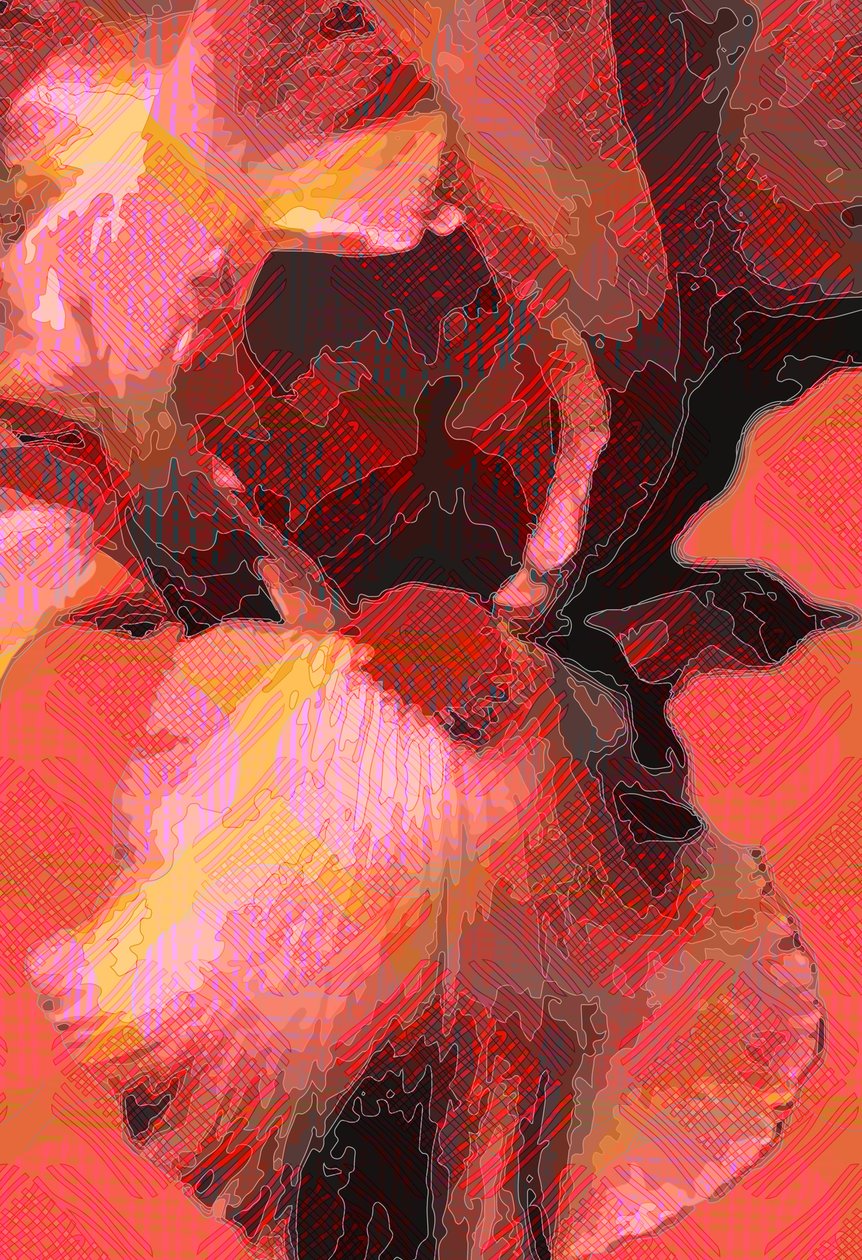 Íris Laranja (digital) de Scott J. Davis