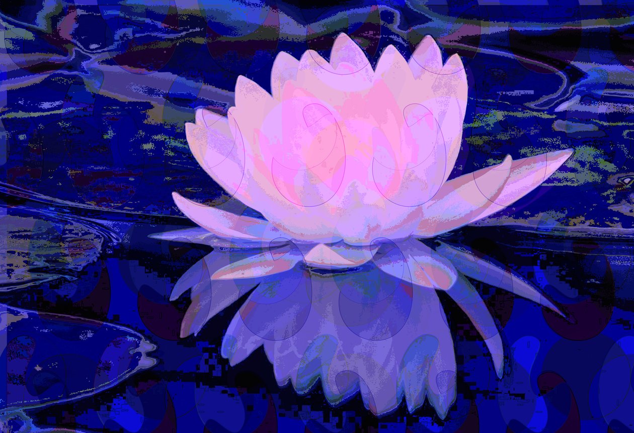 Lírio de água rosa (digital) de Scott J. Davis