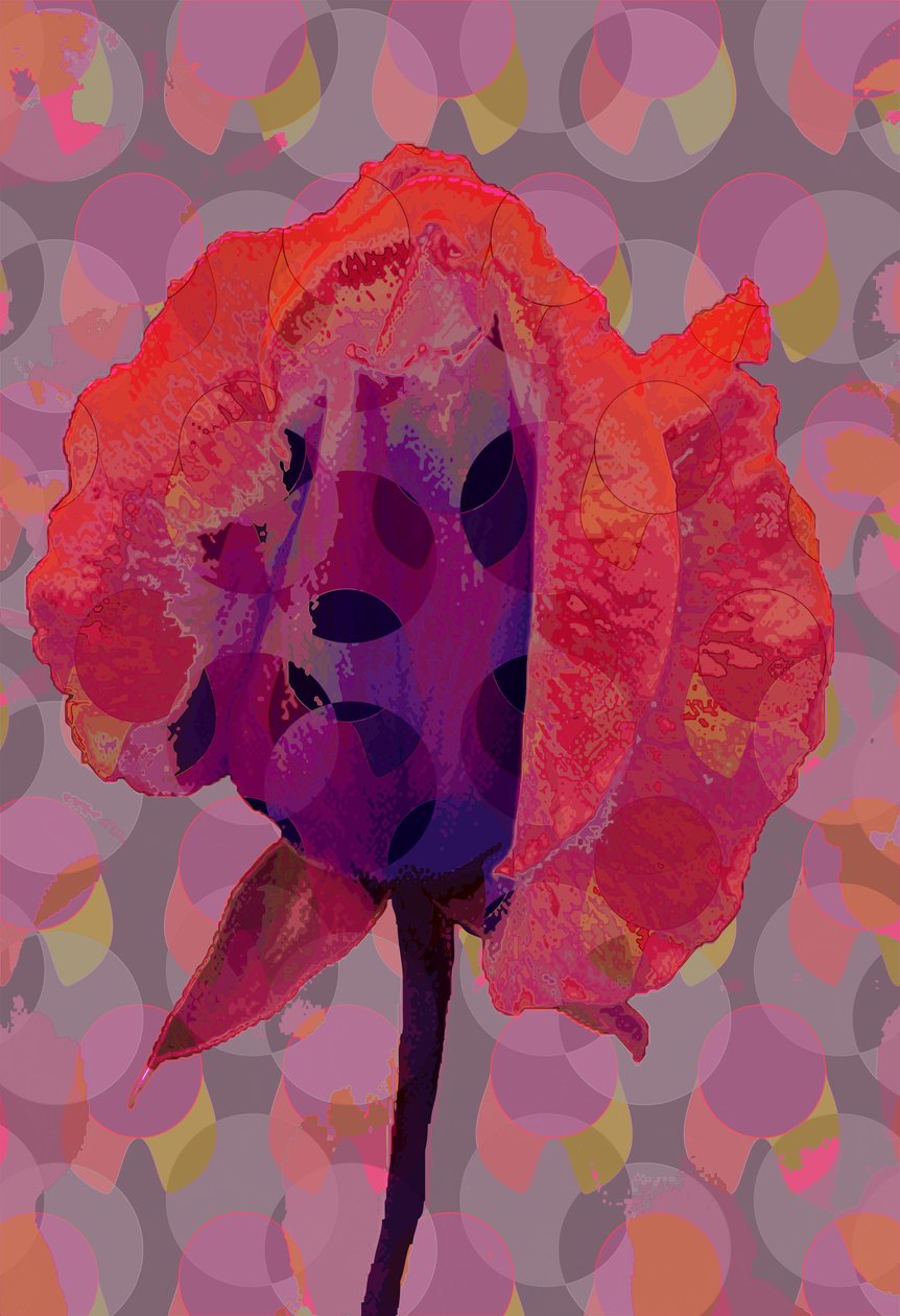Chá Rosa 3 (digital) de Scott J. Davis
